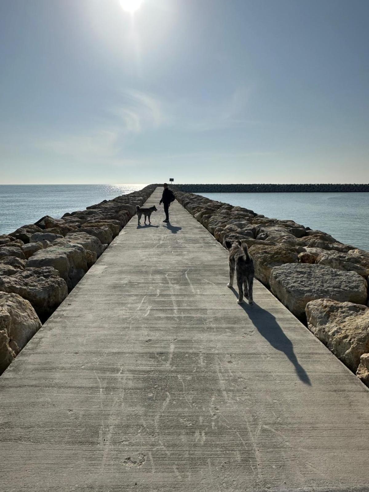 Aky&Suki Sea View Apartments Олимп Экстерьер фото